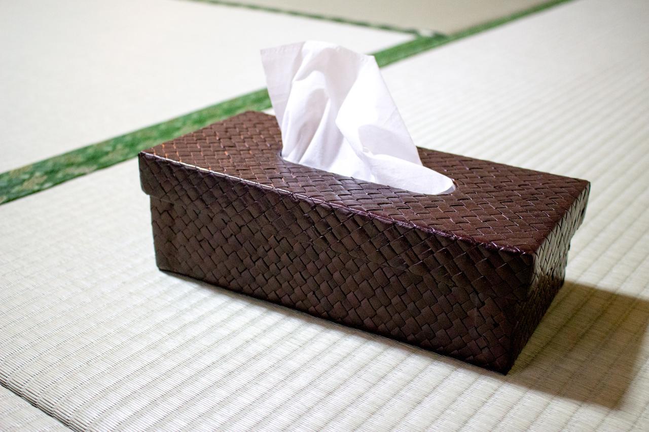 京都Oyado Toji 2公寓 外观 照片